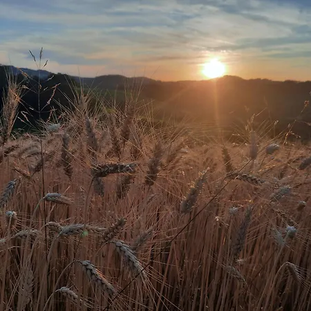 La Fabrique Du Roncon Saint-Bonnet-le-Troncy