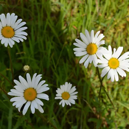 La Fabrique Du Roncon *