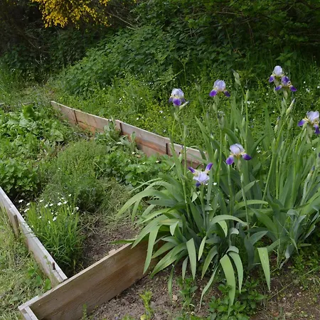 La Fabrique Du Roncon Prázdninový dům Saint-Bonnet-le-Troncy